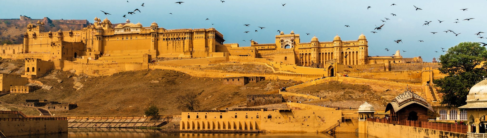 Golden Triangle Tour with Jodhpur 7 Days